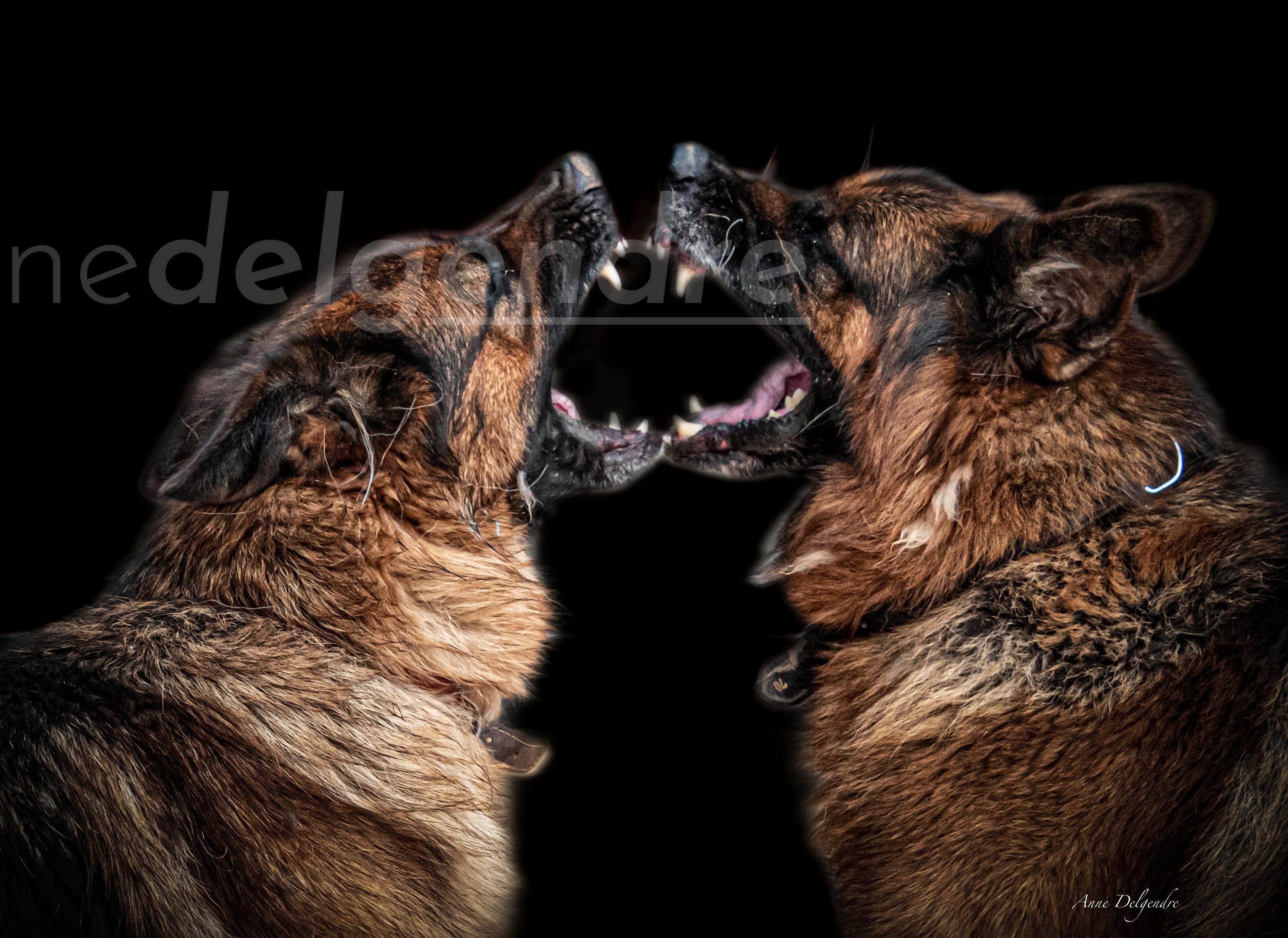 Le baiser