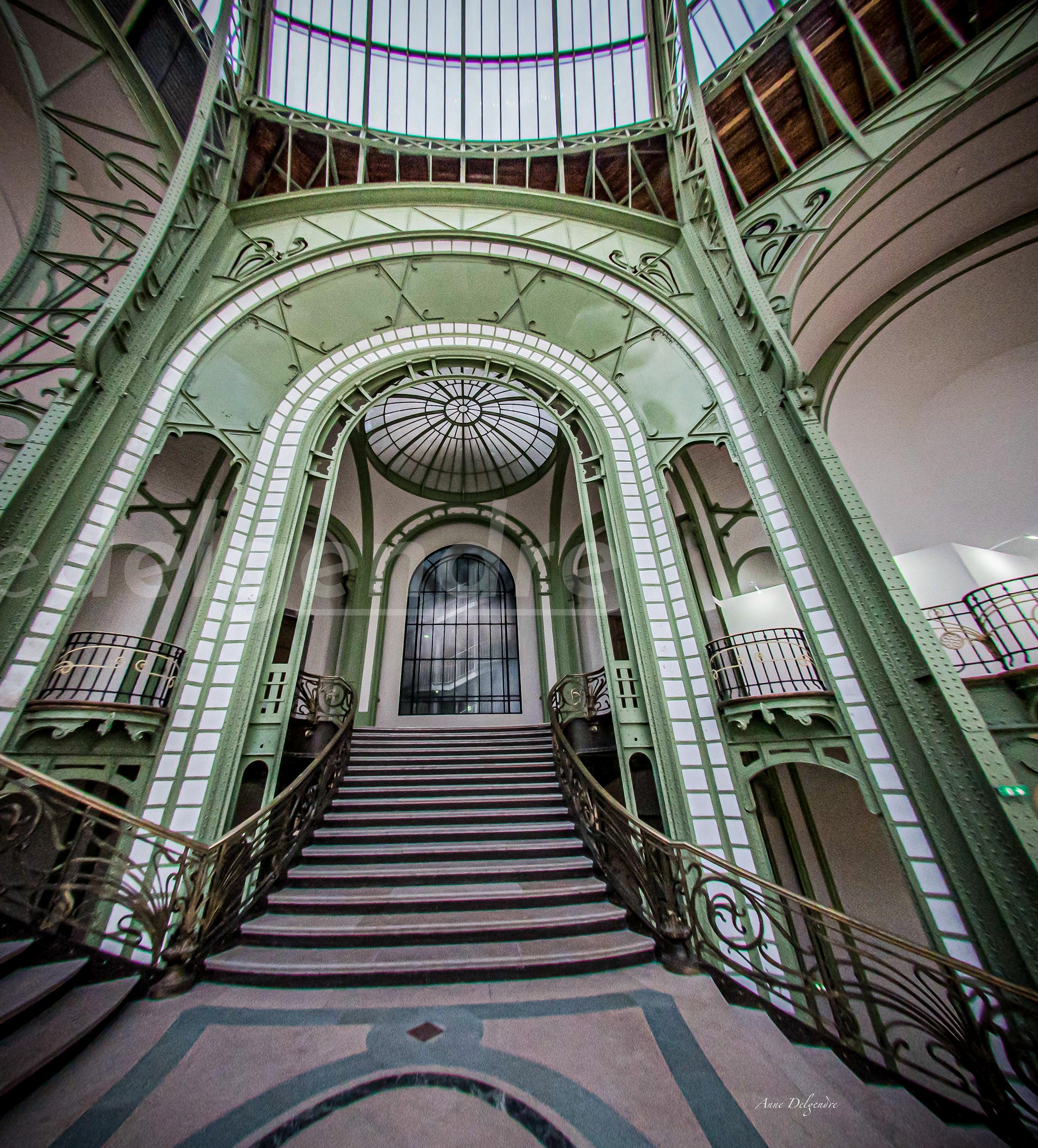 Les marches du Palais