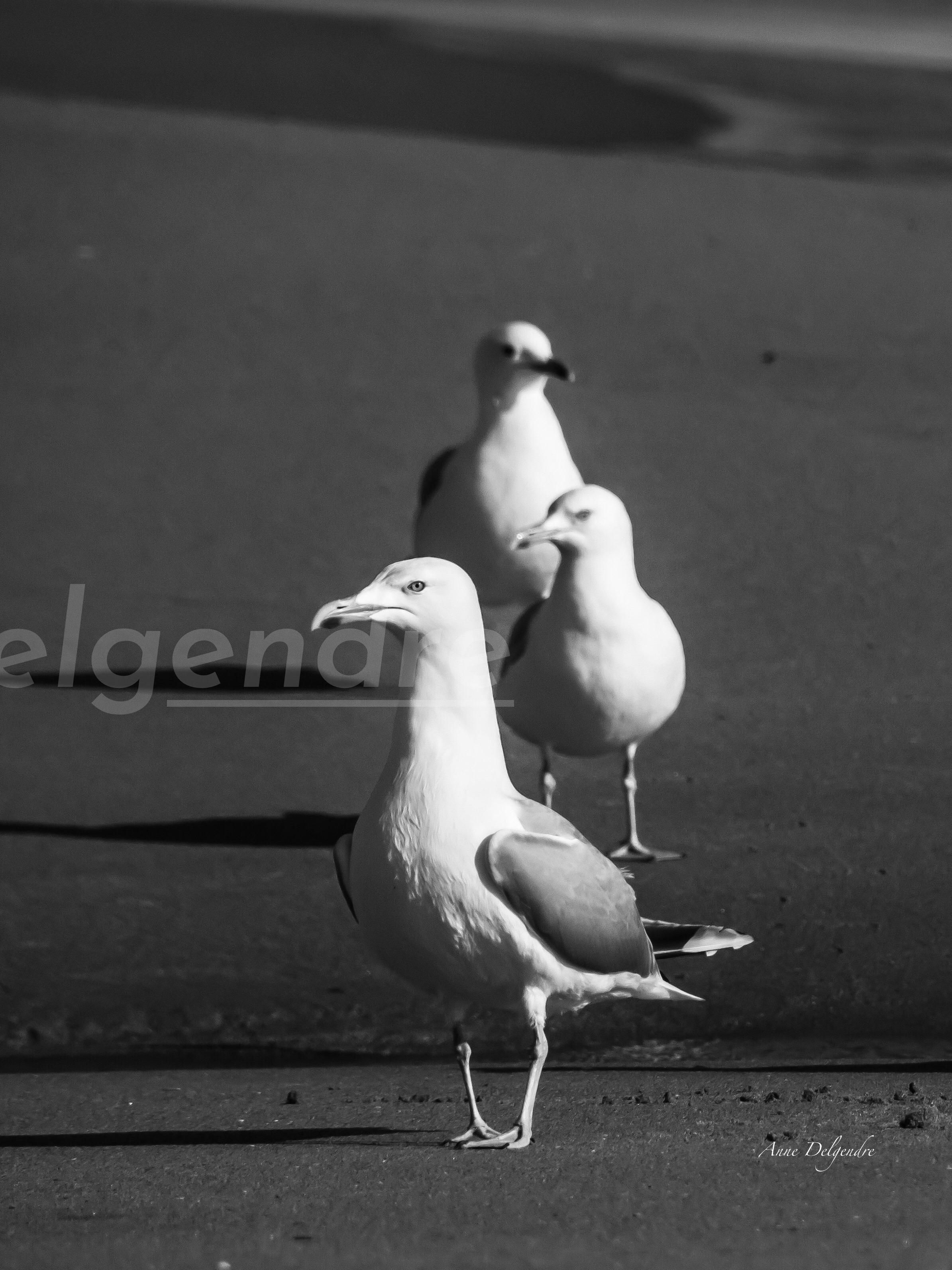 Portrait de famille