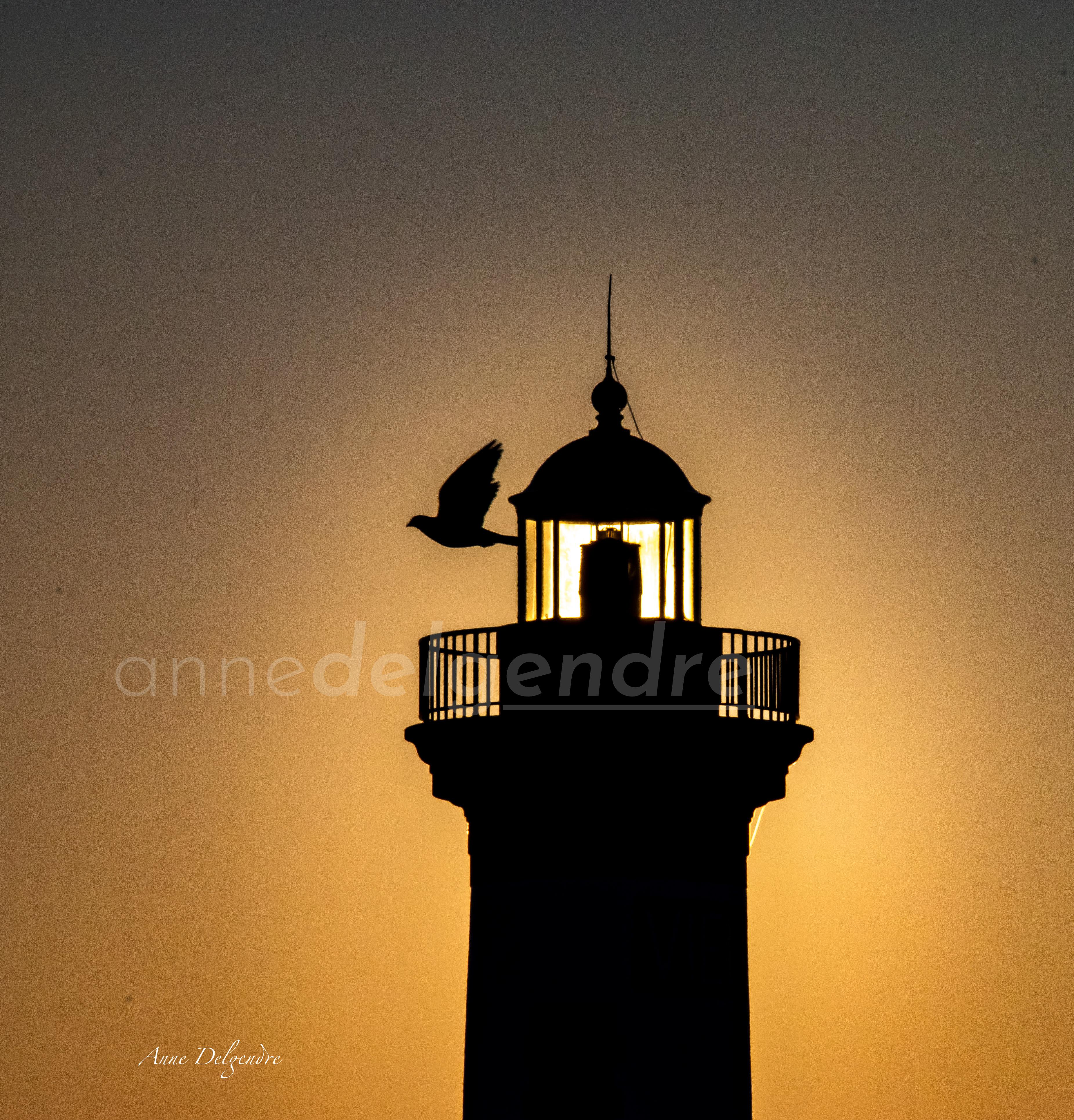 Ombres chinoises